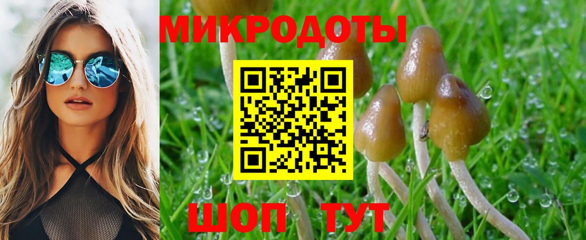Псилоцибиновые грибы Magic Shrooms Новосибирск